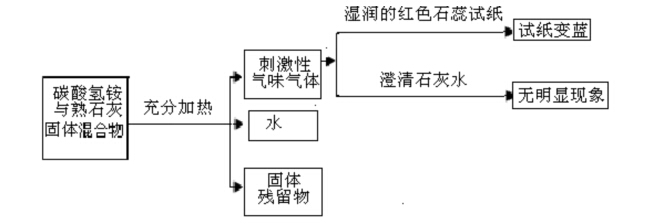 碳酸氫銨與熟石灰反應(yīng)